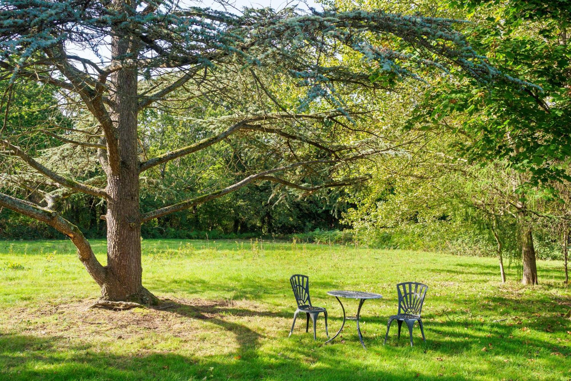 Country Cottage 2Br With Hot Tub And Tennis Court Chiddingly エクステリア 写真